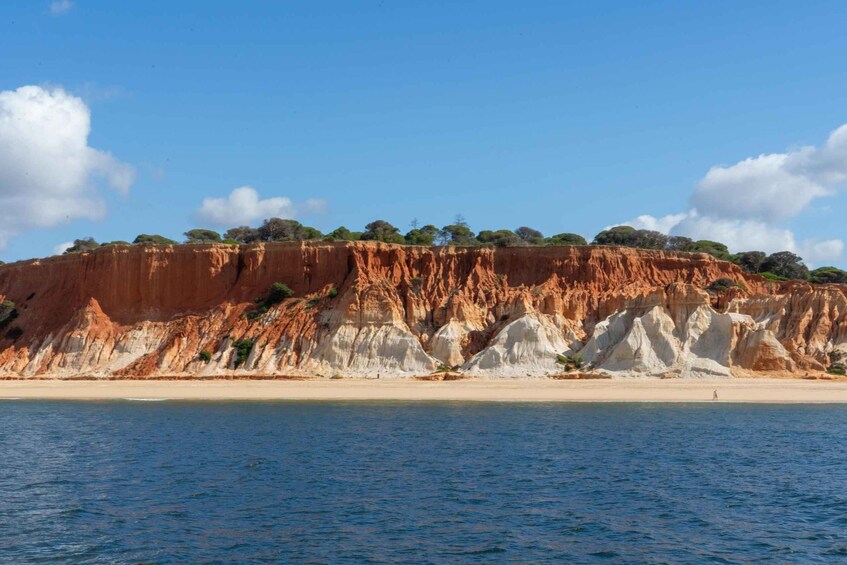 Picture 5 for Activity Vilamoura: Algarve Full Day Private Catamaran Charter 2