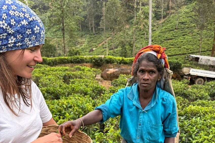 Ambuluwawa Tower & Tea Factory Day Trip from Kandy (Private Tour) 5