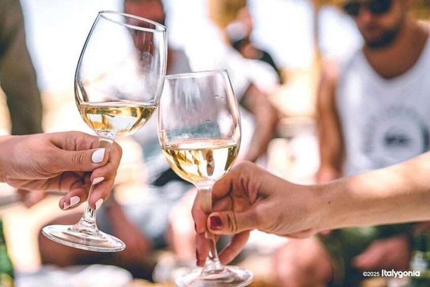 TRANI Wine Tours: Flavors of Puglia 1