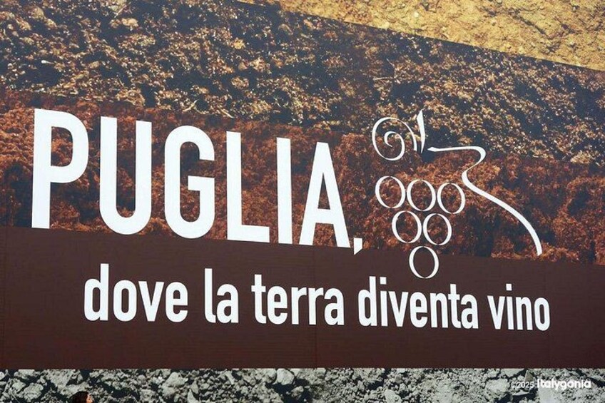 TRANI Wine Tours: Flavors of Puglia 3