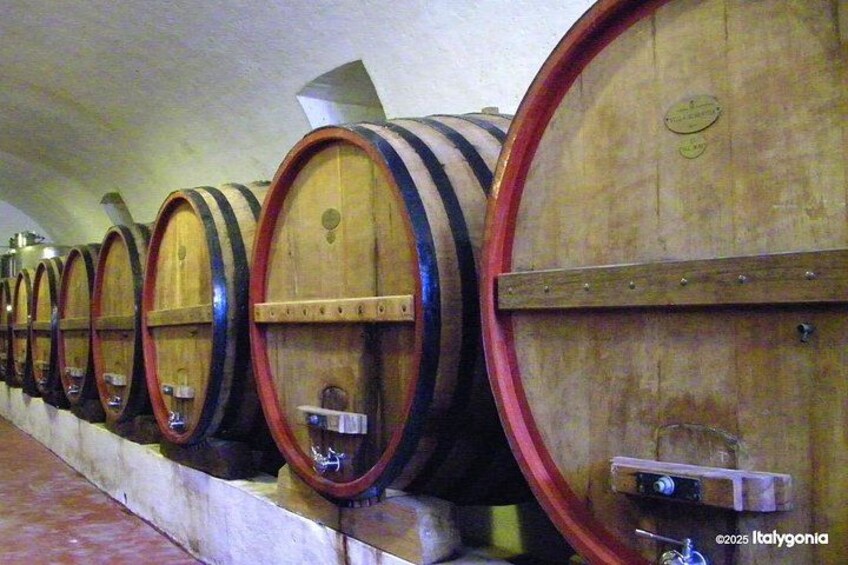 TRANI Wine Tours: Flavors of Puglia 5