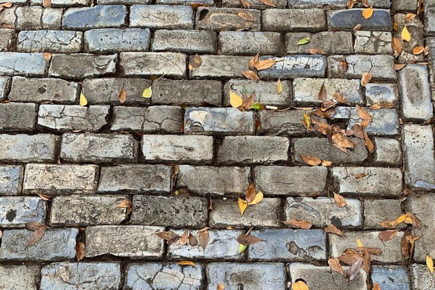 A brick wall with scattered leaves. 3