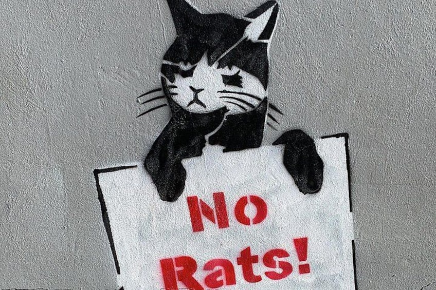 A black and white cat holding a sign that says 'No Rats!' 4