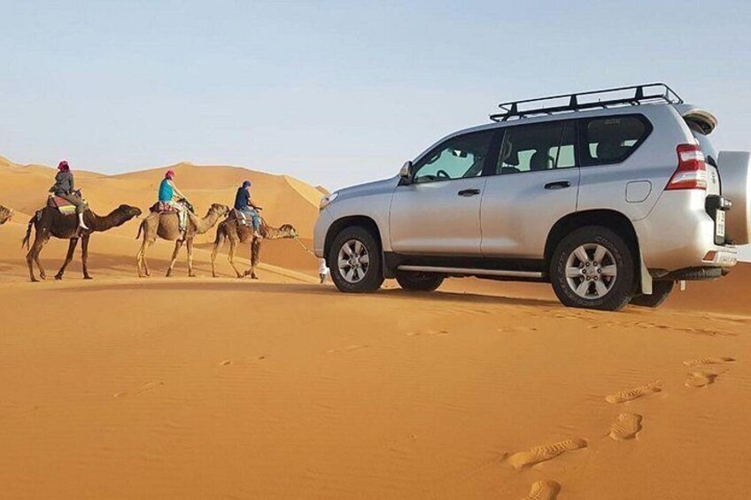A desert landscape with a white SUV and camels. 1