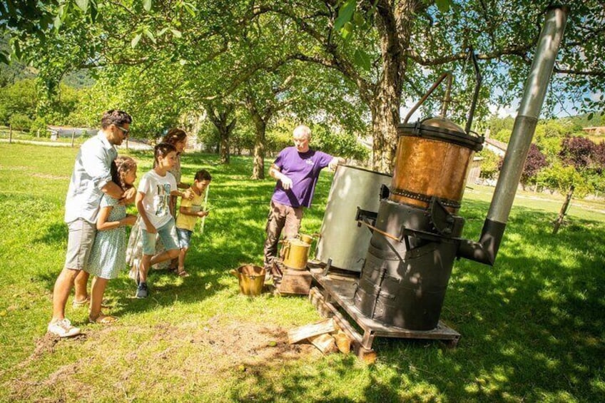 A group of people around a large, old-fashioned wood-burning stove in a grassy outdoor area. 1