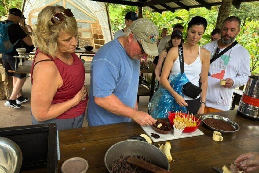 Bijagua de Upala: Chocolate, Coffee & Pineapple Farm Tour 1