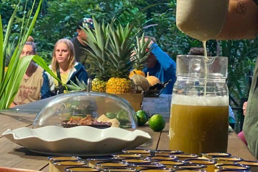 Bijagua de Upala: Chocolate, Coffee & Pineapple Farm Tour 5
