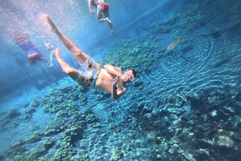 From Flowers Eco Tour to Blue Crater All Inclusive 3