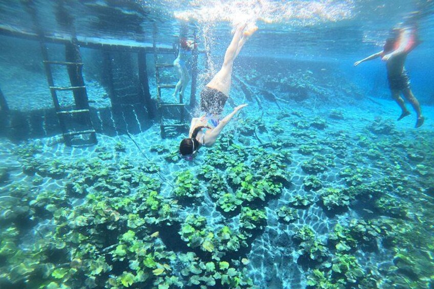 From Flowers Eco Tour to Blue Crater All Inclusive 5