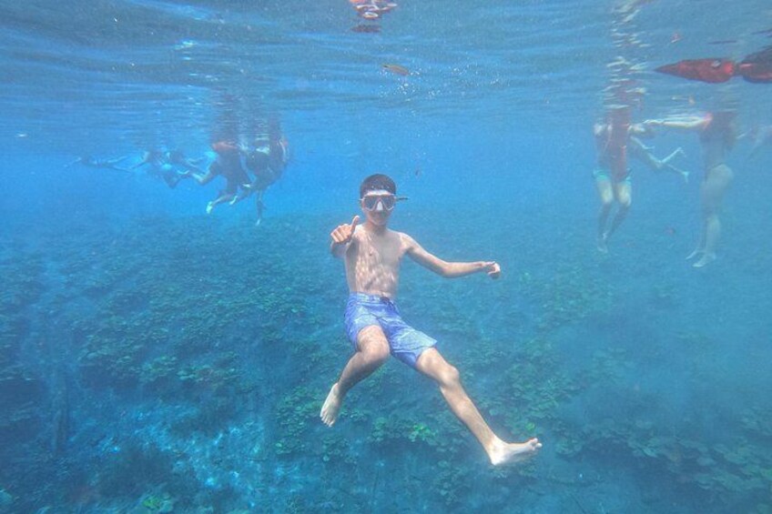 From Flowers Eco Tour to Blue Crater All Inclusive 4
