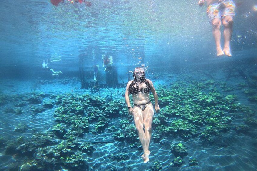 From Flowers Eco Tour to Blue Crater All Inclusive 2