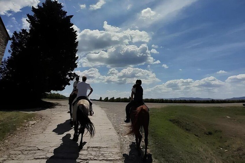 Two people riding horses on a dirt path with a grassy field and trees in the background. 3