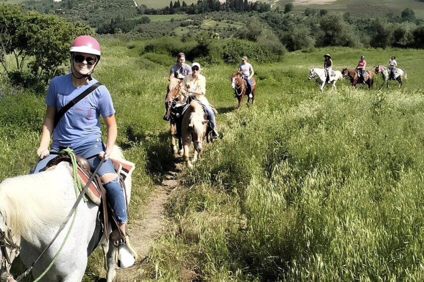A group of people riding horses on a grassy trail surrounded by greenery. 1