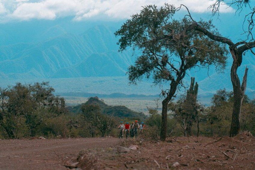 Un groupe de personnes fait de la randonnée sur un sentier de terre, avec des arbres et des montagnes en arrière-plan. 2