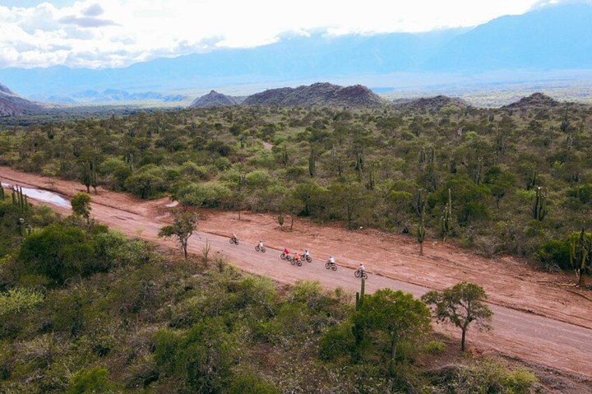 Un chemin de terre, où l’on aperçoit plusieurs véhicules tout-terrain, dans un paysage désertique à la végétation clairsemée, avec des montagnes à l’horizon. 4