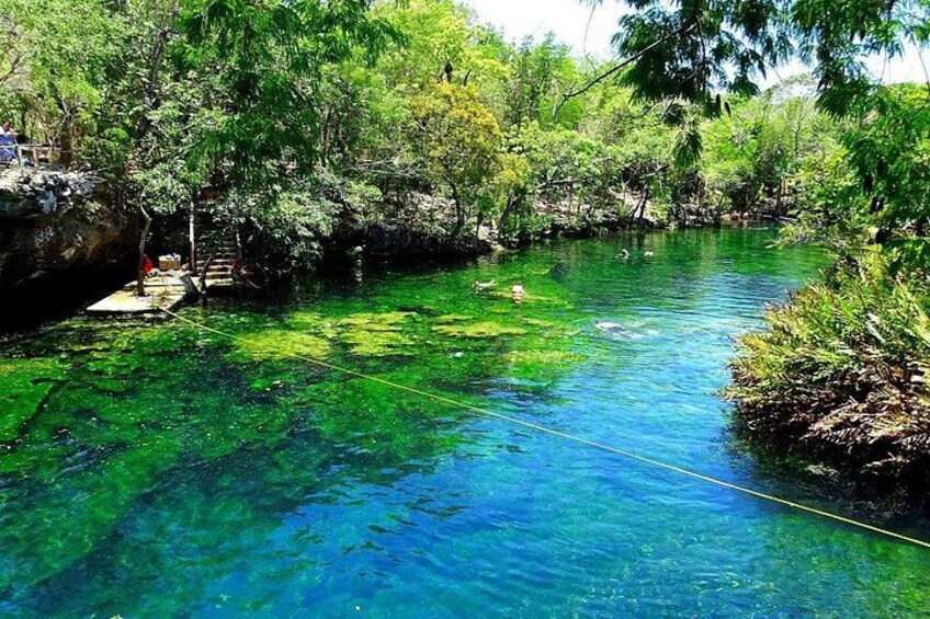 Un río cristalino rodeado de abundante vegetación y un puente de piedra. 4