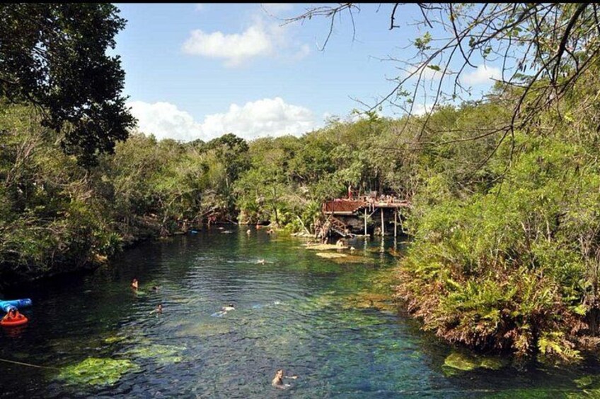 Un río con agua cristalina, rodeado de vegetación densa y una pequeña estructura de madera. 3