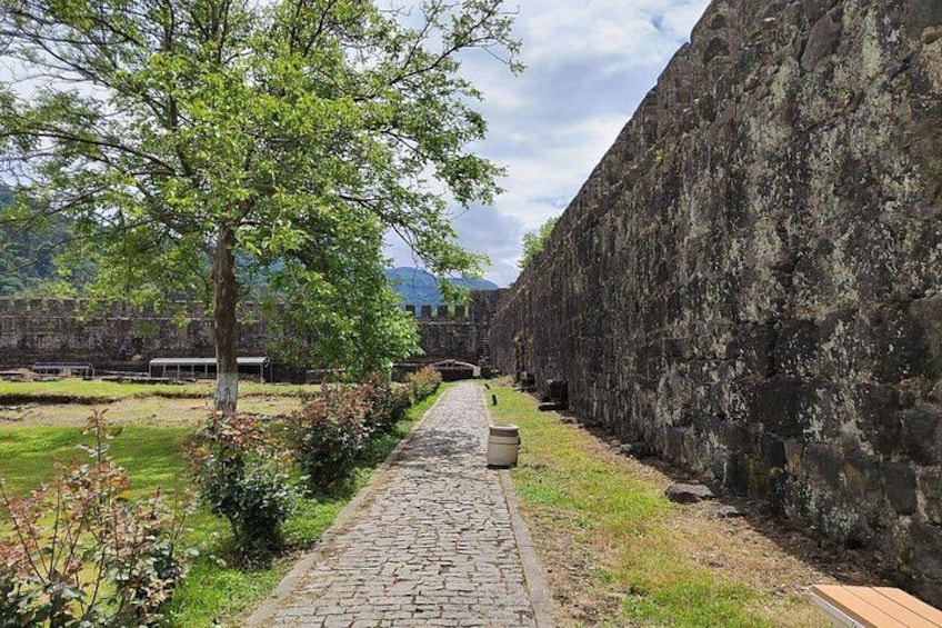 Un chemin pavé de pierres, un mur de pierre et un arbre, le tout situé sur un site historique. 1