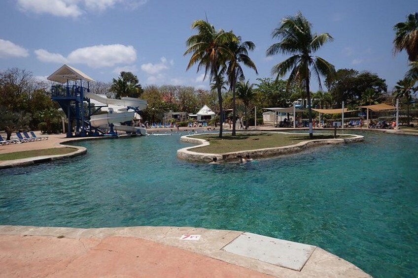 Turtle Center, Starfish, Stingray, & Snorkeling(4-Stop Adventure) 3