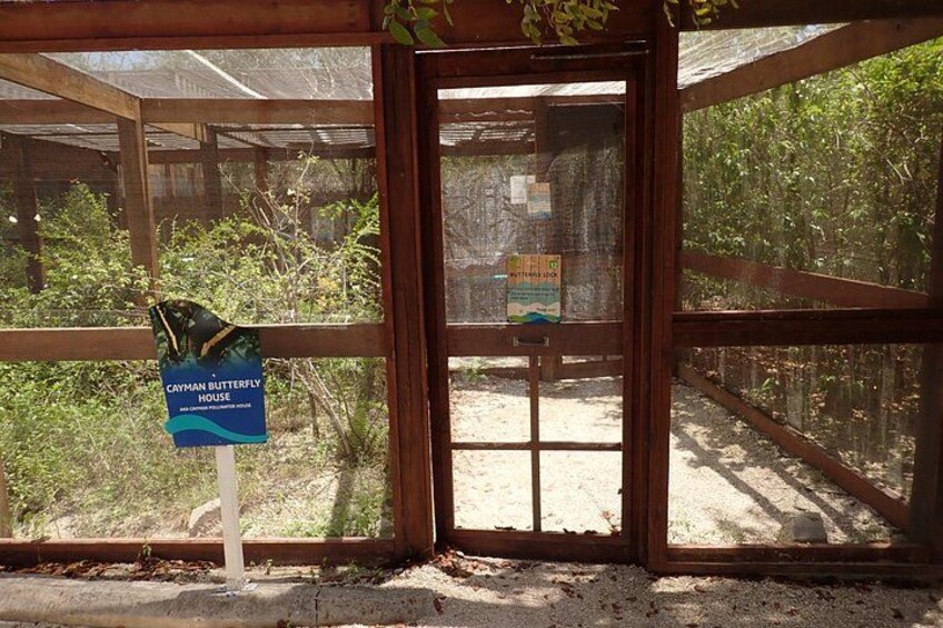Turtle Center, Starfish, Stingray, & Snorkeling(4-Stop Adventure) 2