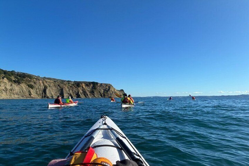 A group of kayakers on a calm sea with rocky cliffs in the background. 3