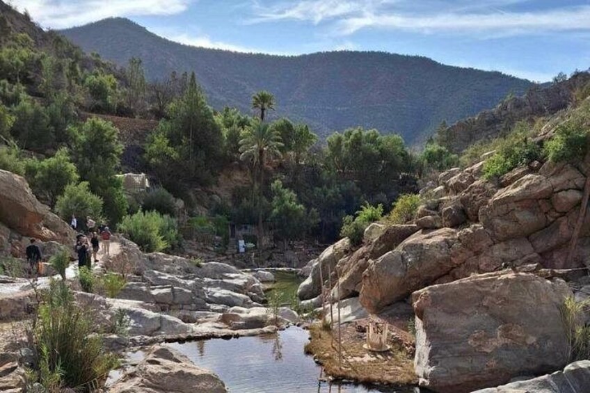 Paradise Valley Half Day with local guide 1