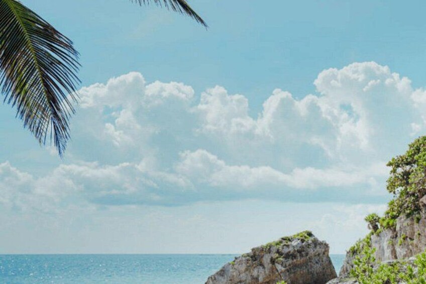 A coastal landscape with a clear sky, a palm tree, and rocky cliffs. 3