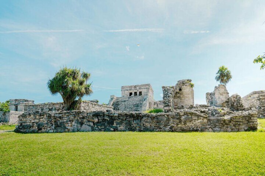 Ancient stone ruins with a palm tree in the foreground. 1