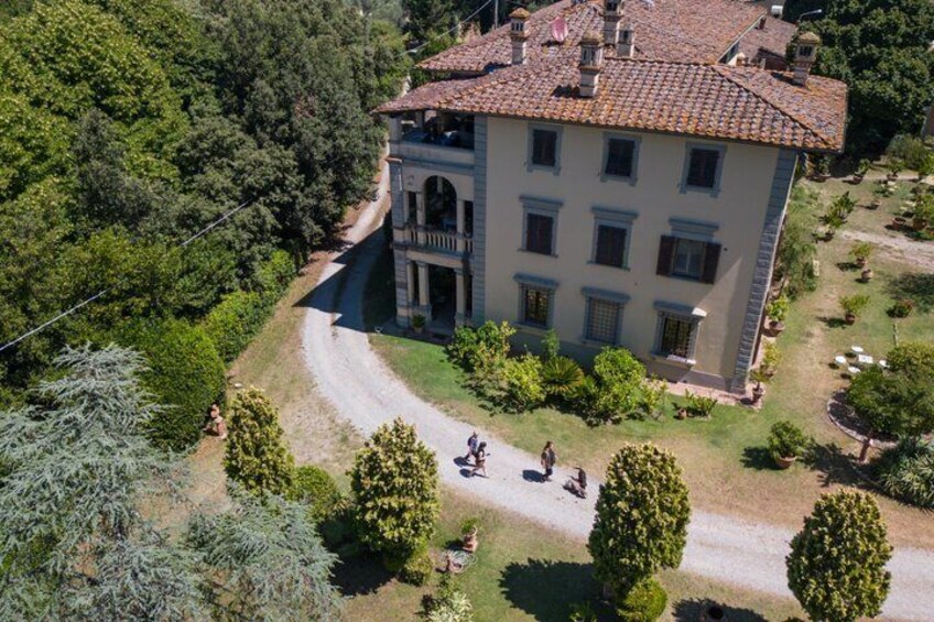 Truffle Hunt & Tasting – Tuscany's Truffle Capital 1
