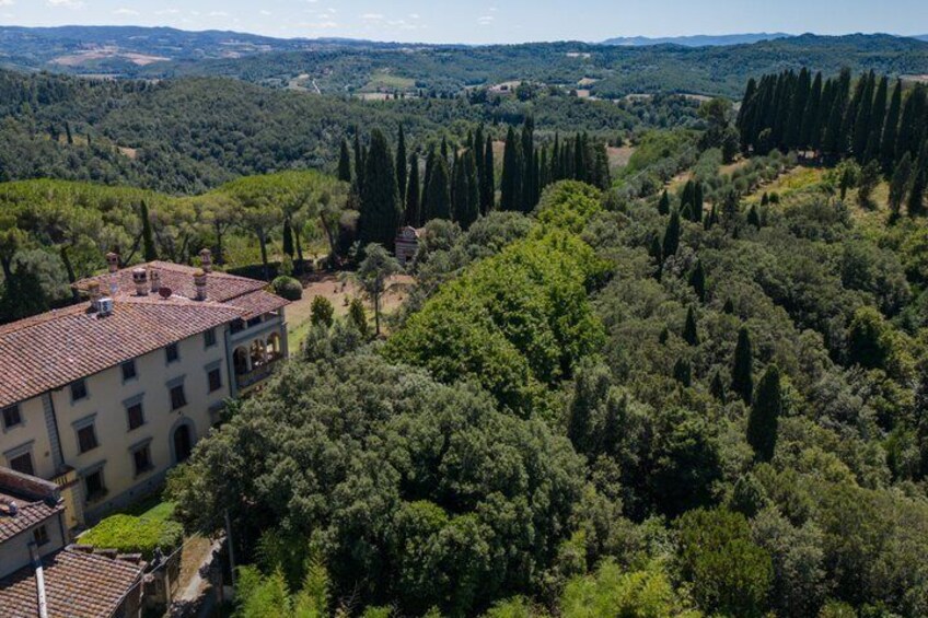 Truffle Hunt & Tasting – Tuscany's Truffle Capital 3