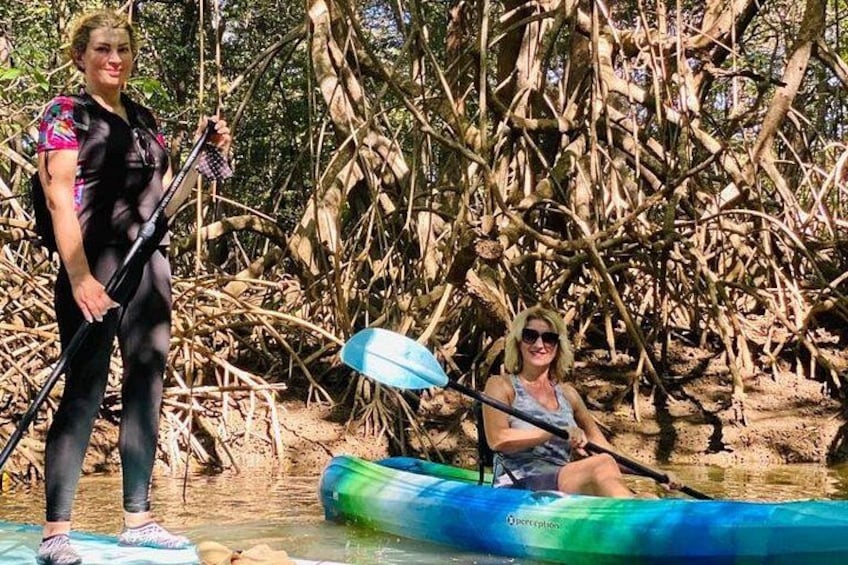 Kayak Through the Mangroves 2