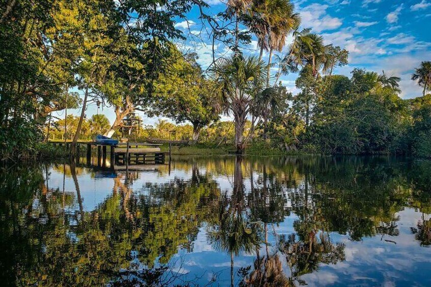 A calm lake with reflections of trees and a wooden dock. 2
