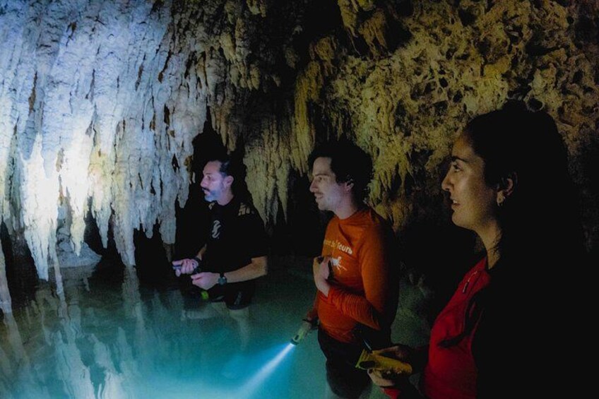 Turtle Swim, Lunch and Underground Cenote Private Tour 4