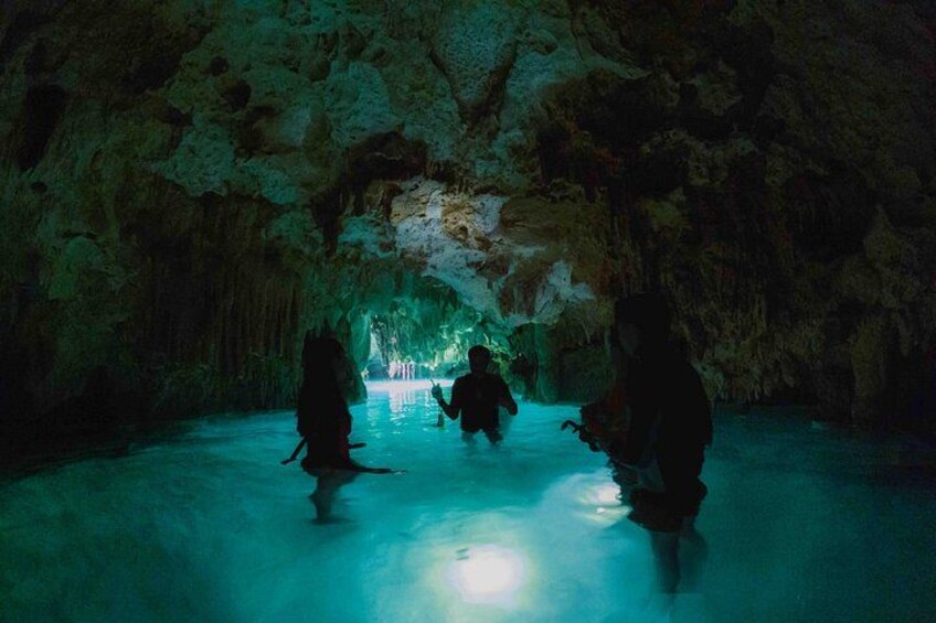 Turtle Swim, Lunch and Underground Cenote Private Tour 3