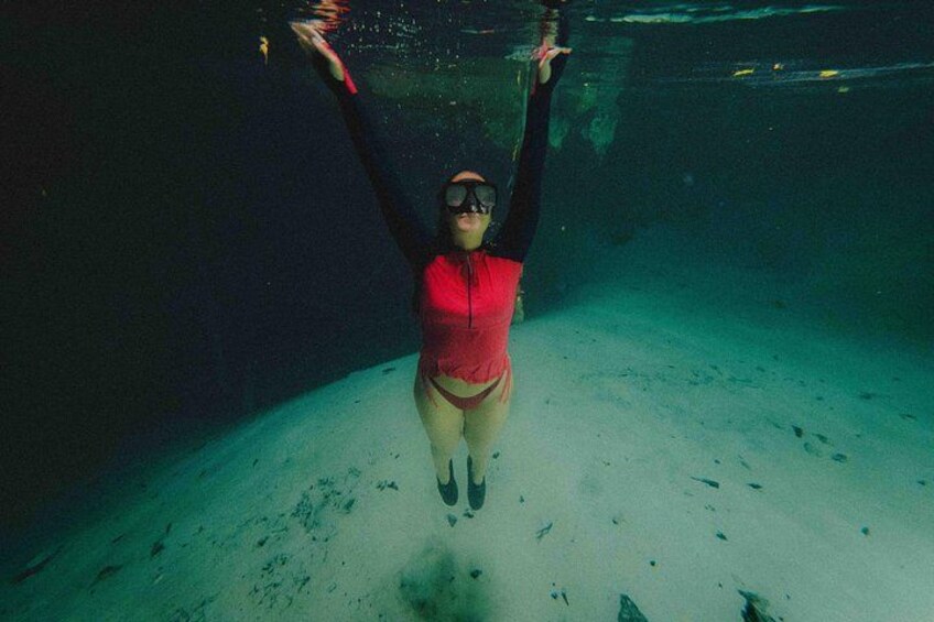 Turtle Swim, Lunch and Underground Cenote Private Tour 2