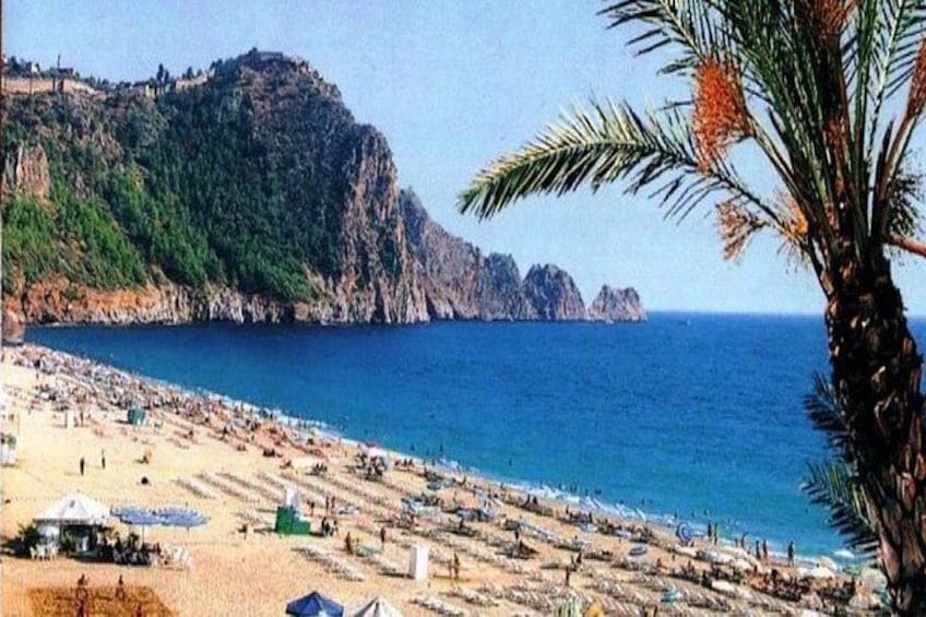 A beach with palm trees, a rocky cliff, and the ocean. 2