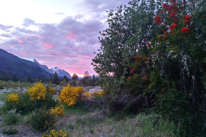 Bariloche's Mountain Echoes (Full/Half hiking day) 4