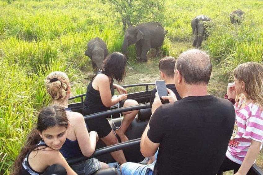 Sri Lanka Adventure Tour Jeep Safaris and Village Experience 5