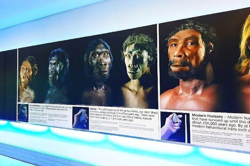 A wall with portraits and text panels. 2