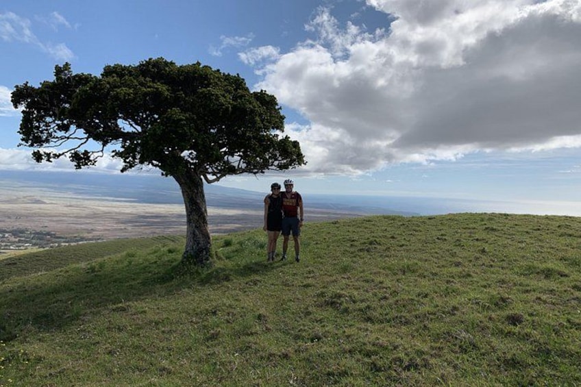 Una persona de pie bajo un árbol grande en una colina cubierta de hierba, con vistas a un paisaje lejano. 2