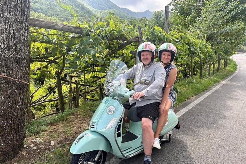 A person riding a scooter on a road with vineyards in the background. 2