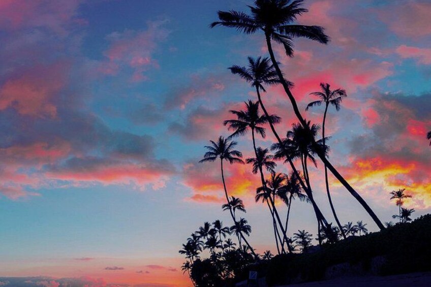 A sunset with palm trees silhouetted against a colorful sky. 1