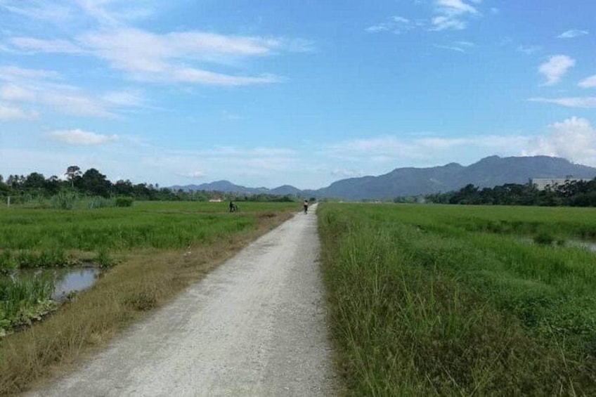 Penang: ATV Ride in Balik Pulau with Snacks and Transfers 2