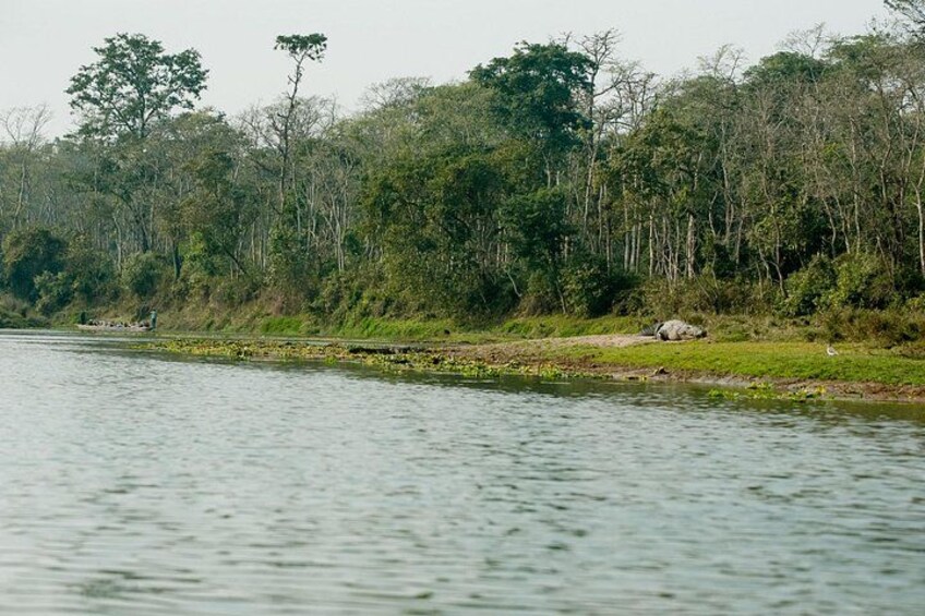 A calm river with a boat, dense forest, and a grassy bank. 3