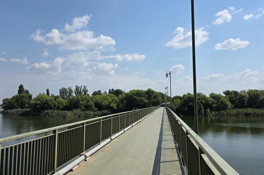 Un puente peatonal sobre el agua con barandillas, árboles y cielo despejado. 3