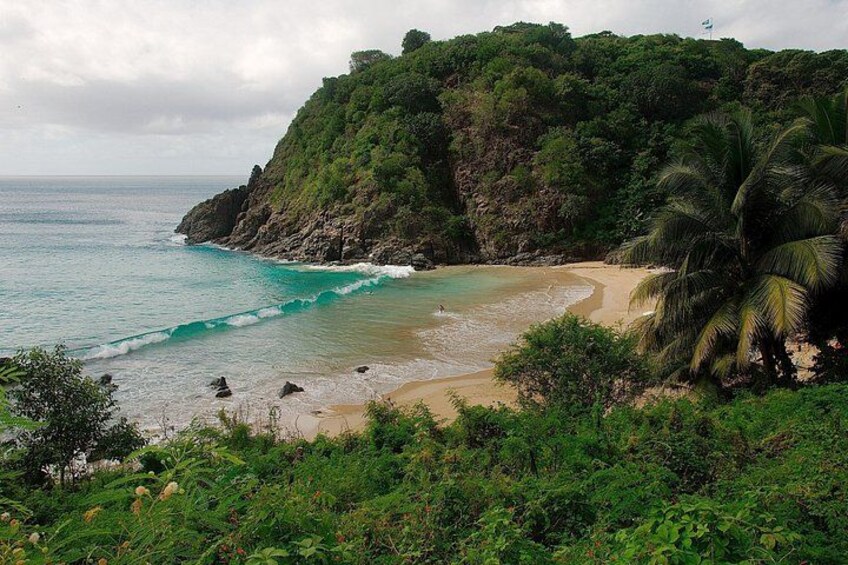 A beach with turquoise waves, sandy shore, and lush greenery. 5