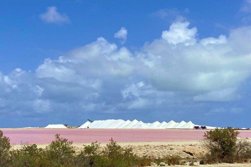 Guided Bonaire South Tour 1