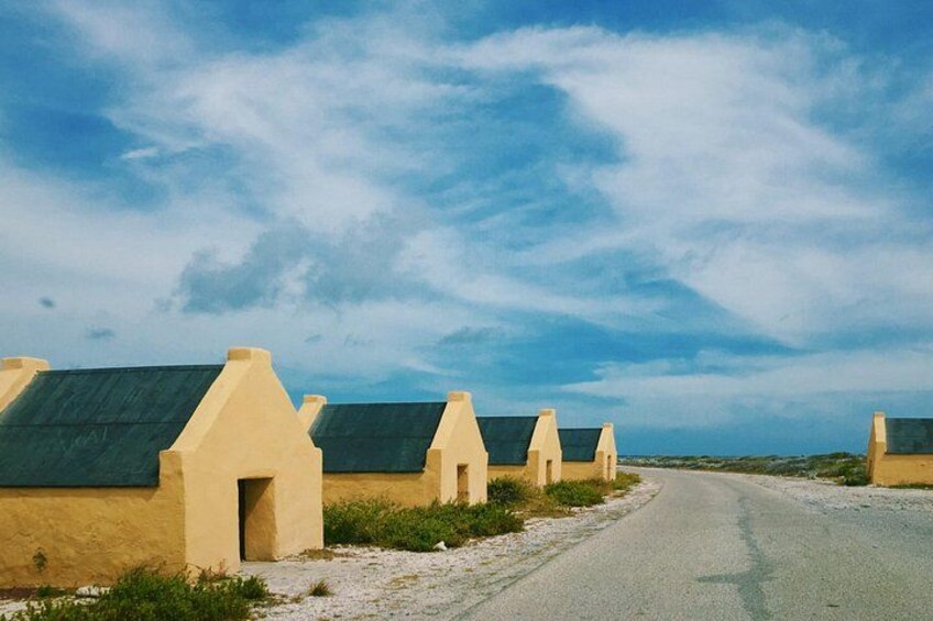 Guided Bonaire South Tour 5