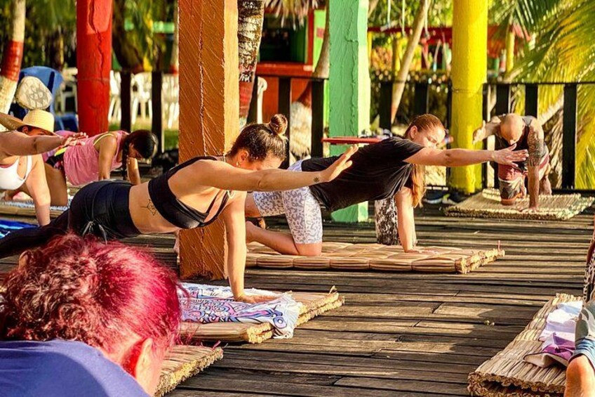 Personas practicando yoga en una terraza de madera con palmeras al fondo. 3