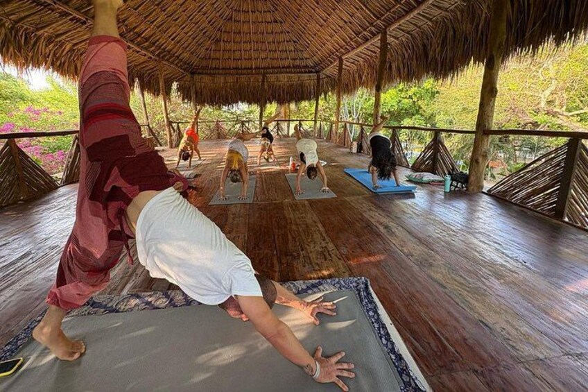 Un grupo de personas practicando yoga sobre esterillas bajo una estructura de techo de paja. 5